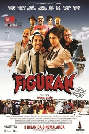 Figuran (2015) Hindi Dual Audio 720p BluRay [950MB]