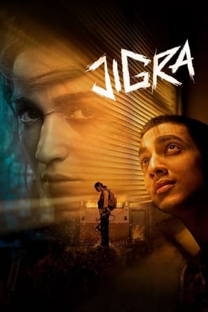 Jigra 2024 Hindi Dubbed 1080p CAMRip