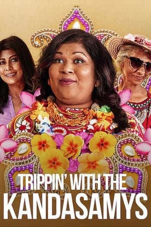 Trippin with the Kandasamys 2021 Hindi Dual Audio 480p Web-DL 300MB